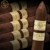 Rocky Patel Decade Torpedo 10pk