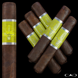 CAO Flathead V450 Sparkplug (4.5"x50) - 10 Cigars